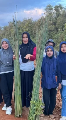 WhatsApp Image 2025-11-06 at 17.46.52